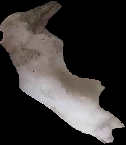Crop