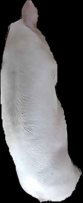 Crop