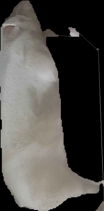 Crop