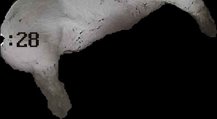 Crop