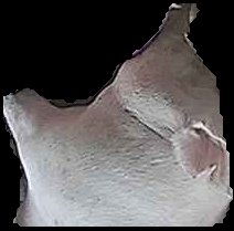 Crop