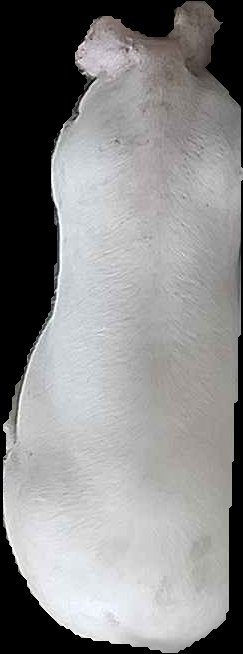 Crop