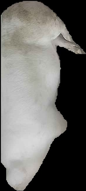 Crop