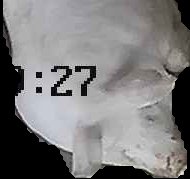 Crop