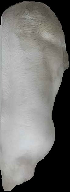 Crop