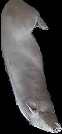 Crop