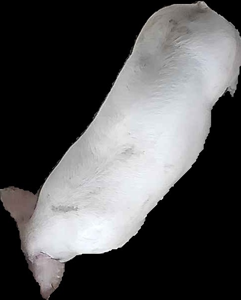 Crop