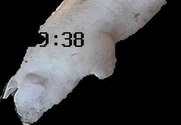 Crop
