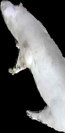 Crop