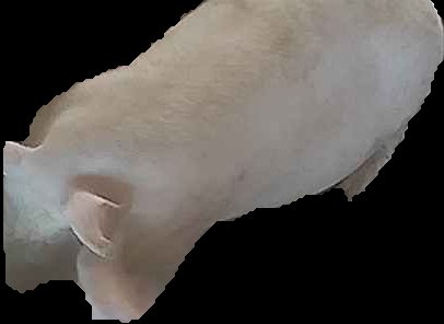 Crop