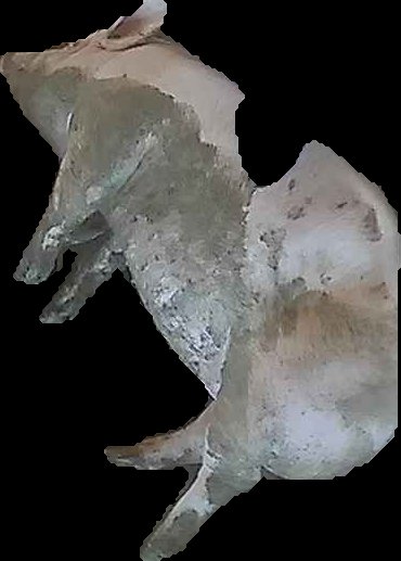 Crop