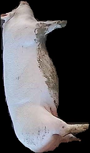 Crop