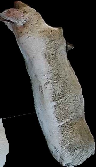 Crop