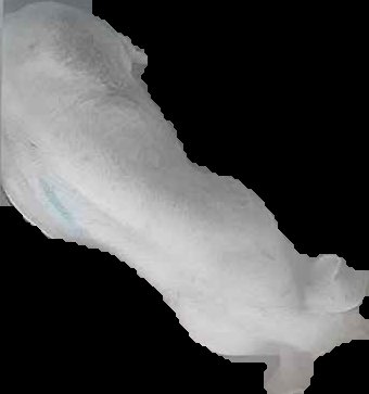 Crop