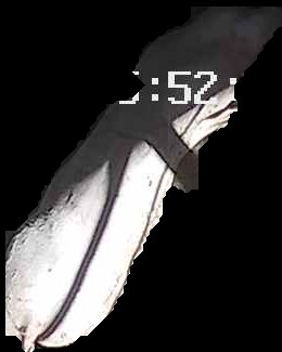Crop