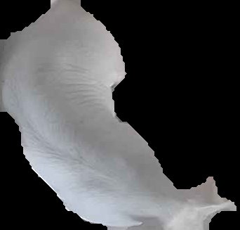 Crop