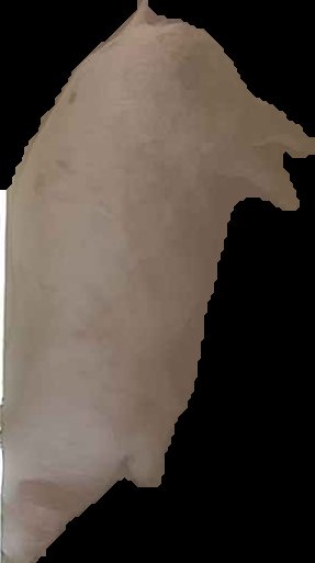 Crop
