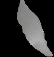 Crop
