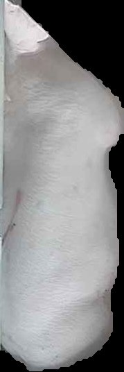 Crop
