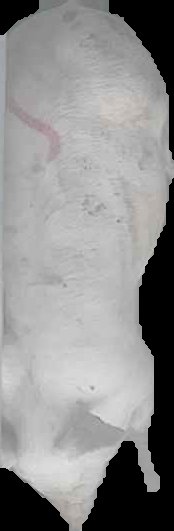 Crop