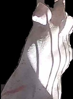 Crop