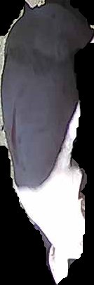 Crop