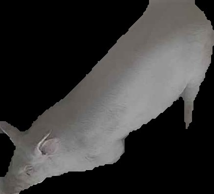 Crop