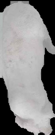 Crop