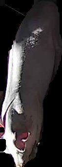 Crop