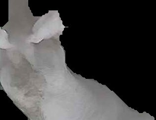 Crop