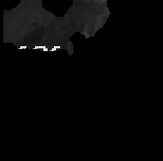 Crop