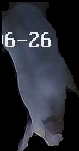 Crop