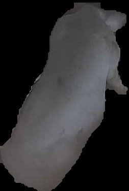 Crop