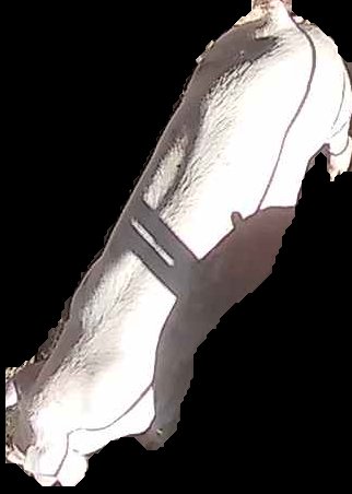 Crop