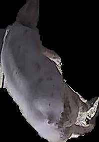 Crop