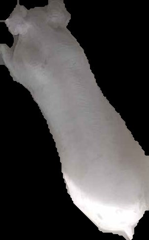Crop
