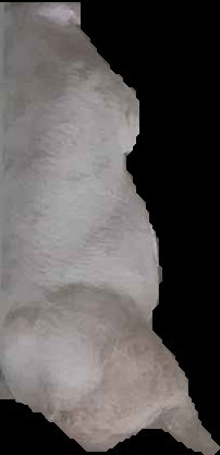 Crop