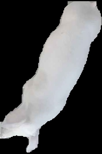 Crop