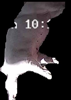 Crop