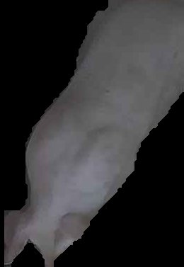 Crop
