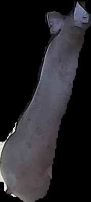 Crop