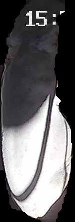 Crop