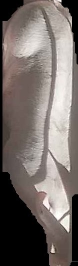 Crop