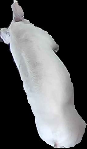 Crop