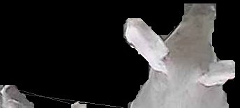 Crop