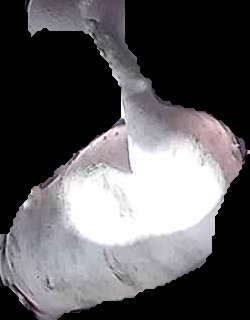 Crop