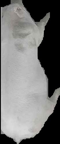 Crop