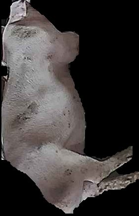 Crop