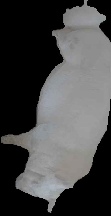 Crop