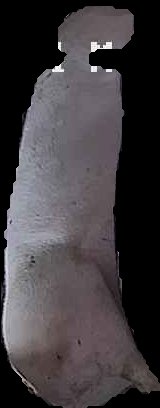 Crop